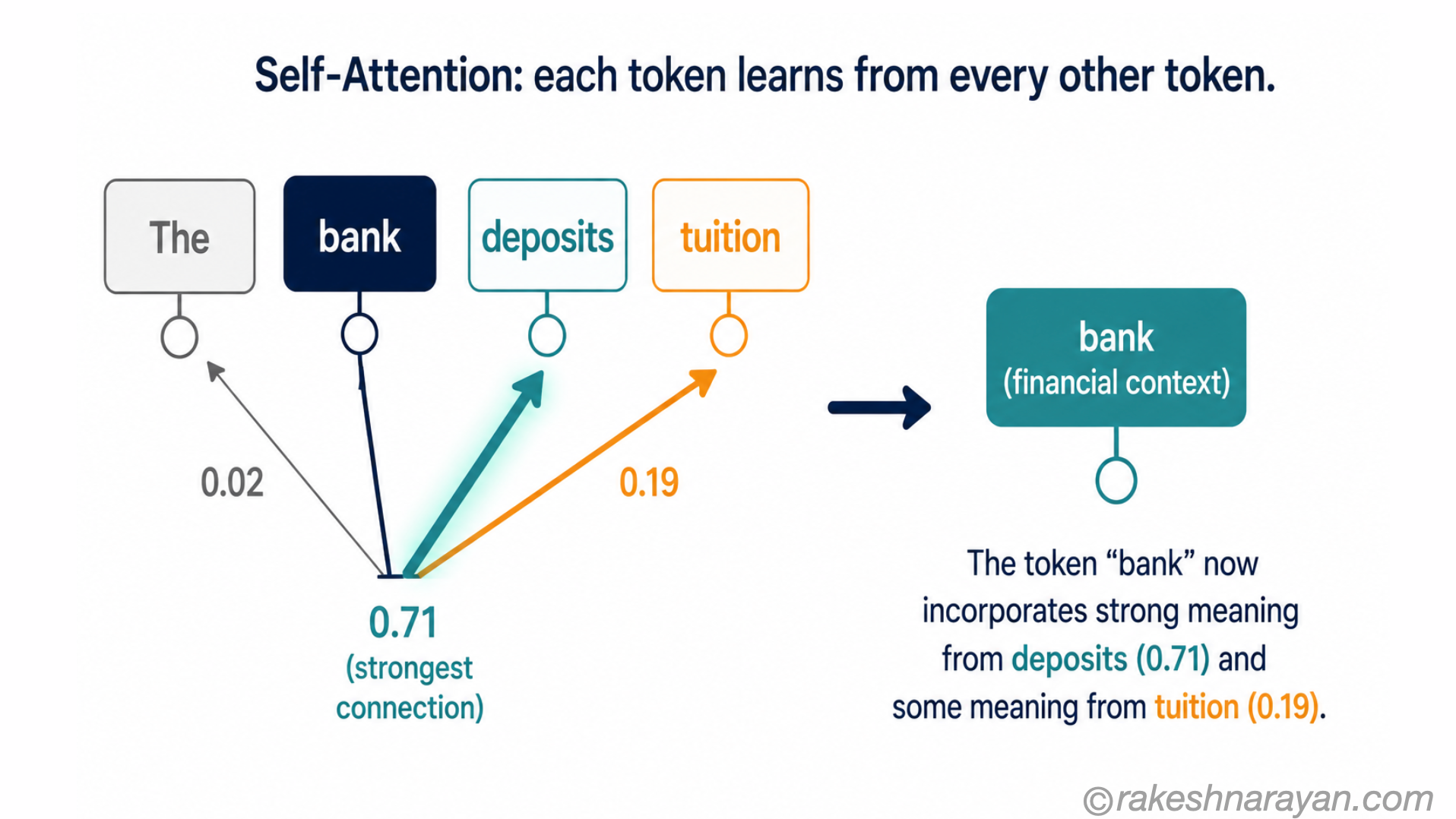 Self-attention diagram on white background showing the word bank attending to deposits and tuition with weighted arrows of different thickness representing attention scores