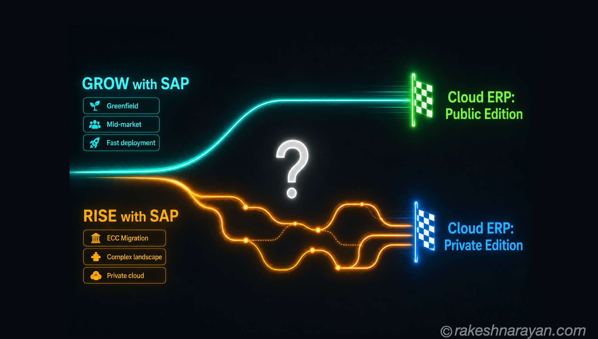 GROW with SAP vs RISE with SAP — Which Is Right for You
