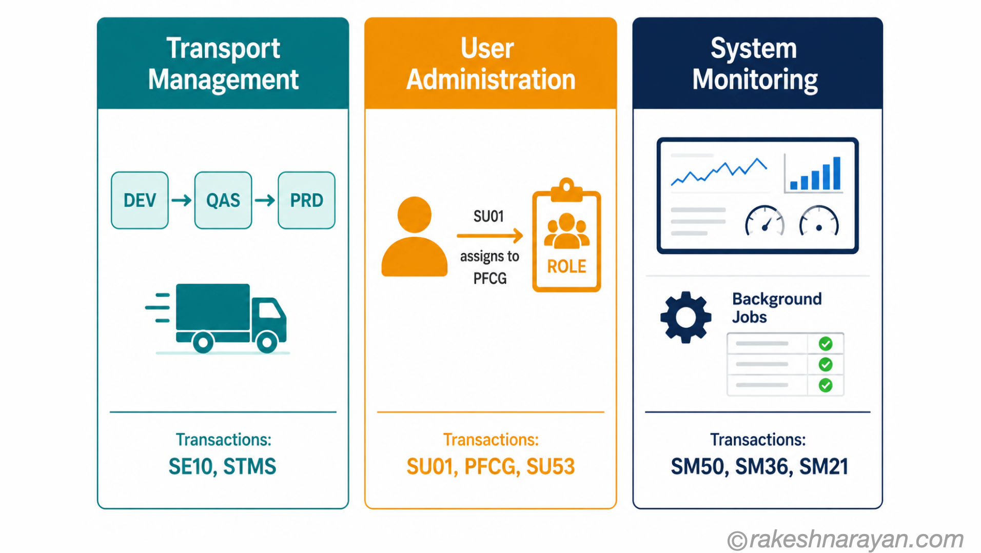 SAP Basis three-domain diagram on white background showing transport management, user administration and system monitoring as three colour-coded panels each with their key transactions