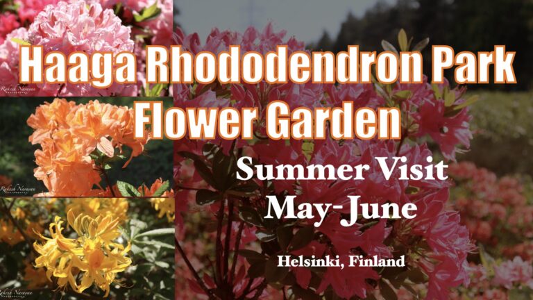 Haaga Rhododendron Park